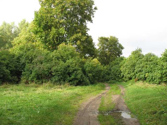 vjezd na krug IMG_3908.JPG